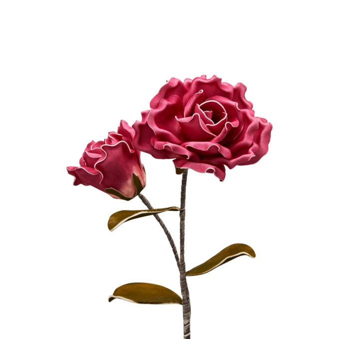 ROSA (D16519)