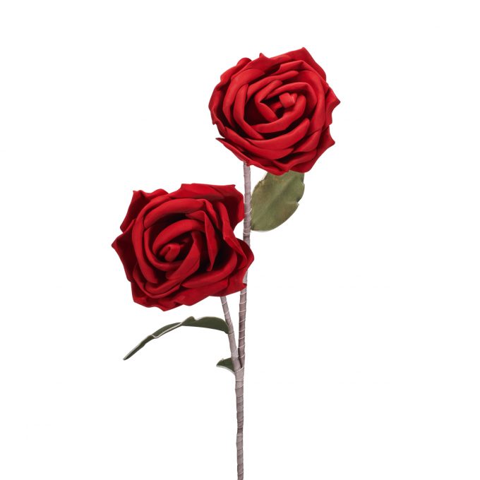 ROSE ROSSE (D18245)