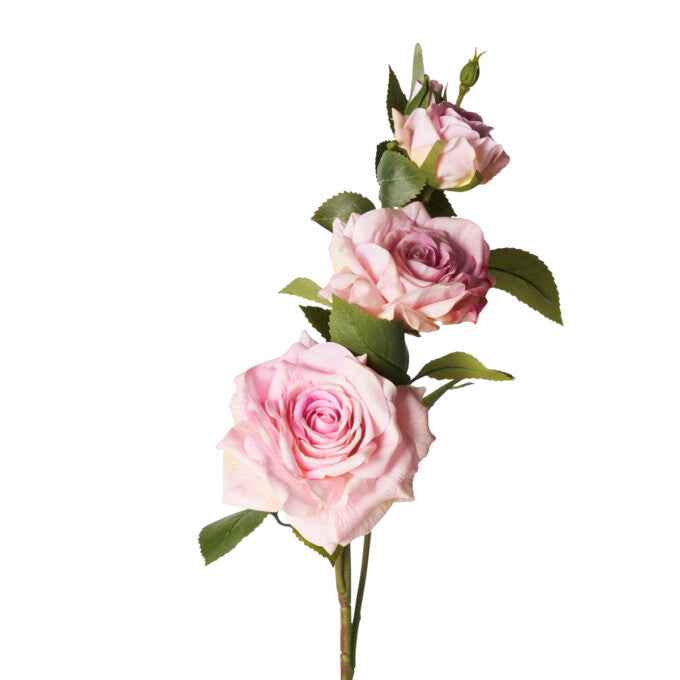 ROSE “REAL TOUCH” ROSA (D18780)