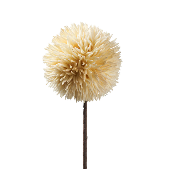 POM POM PANNA (D18793)