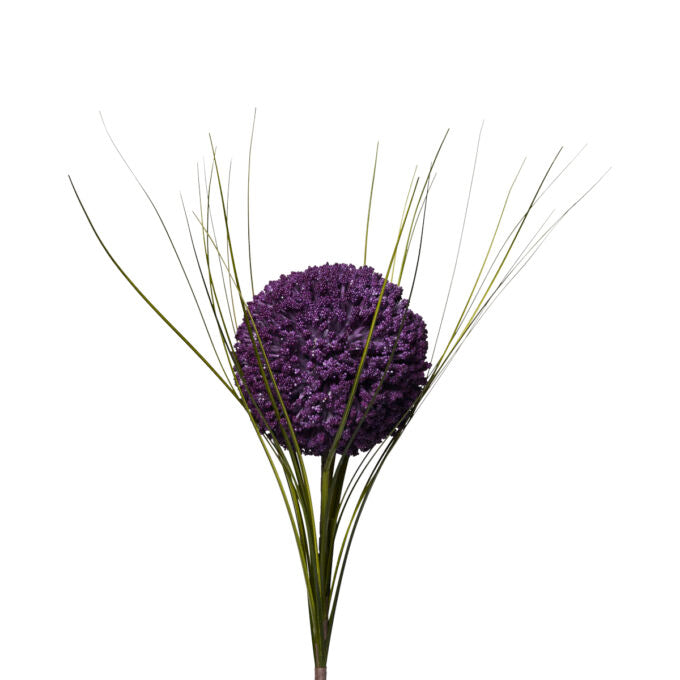 POM POM VIOLA (D18794)